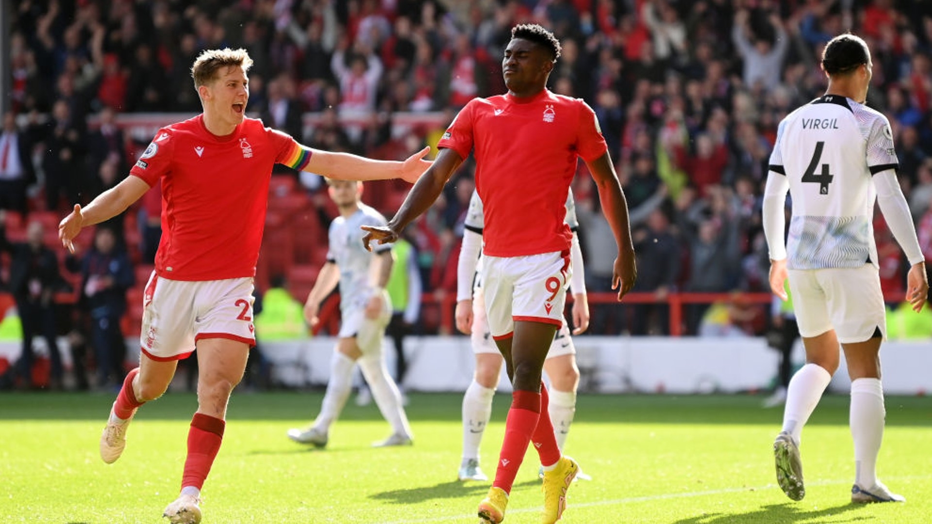 利引入邦多 利引入邦多